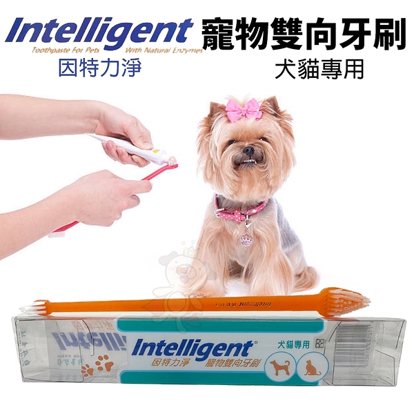 INTELLIGENT 因特力淨 寵物雙向牙刷 大小刷頭 寵物牙刷 犬貓專用『寵喵樂旗艦店』