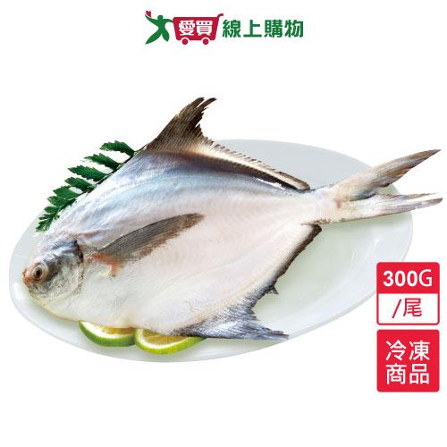 嚴選新鮮白鯧300~400g/尾【愛買冷凍】