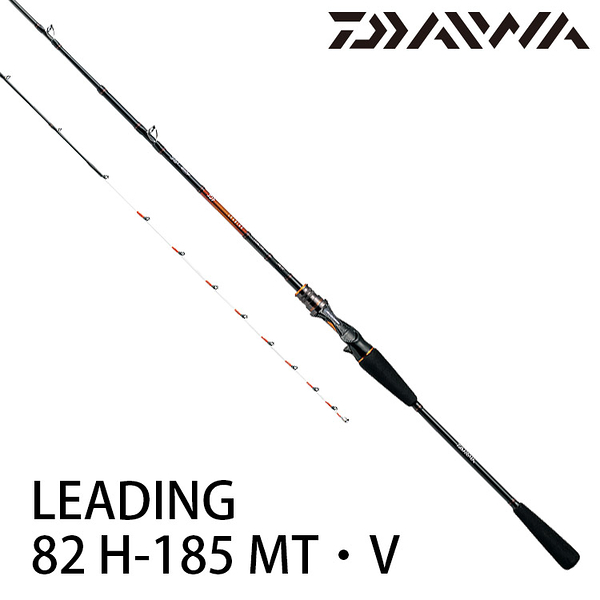 DAIWA LEADING 55 H-220(負荷40〜130号)+inforsante.fr