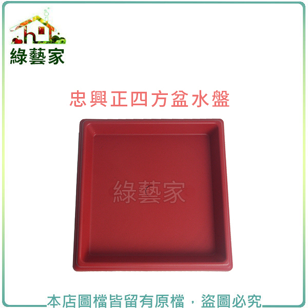 【綠藝家】忠興1尺正四方盆專用水盤磚紅色
