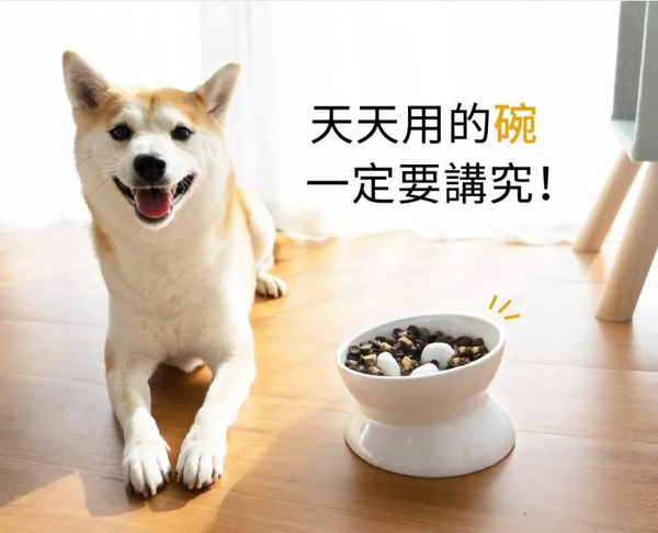 HeroMama 貓犬雙面呵護慢食碗 | 一體成型無死角 清洗更簡單『寵喵樂旗艦店』 product thumbnail 4