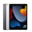Apple iPad 9 256G 10.2吋 2021 WiFi 平板電腦 含殼貼套組