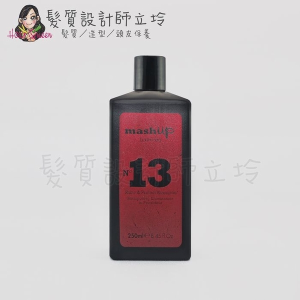 立坽『洗髮精』Mashup 日常保養系列 N13 鎖色潤澤洗髮露250ml HH04