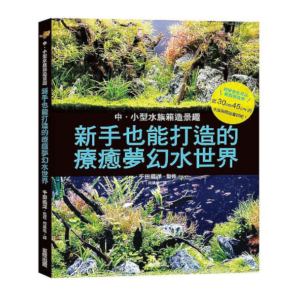 中小型水族箱造景趣：新手也能打造的療癒夢幻水世界 | 拾書所