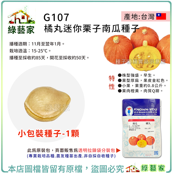 【綠藝家】G107.橘丸迷你栗子南瓜種子1顆 貝貝南瓜 植株強健，耐病較小紅佳的紅皮小果西洋南瓜