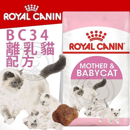 【培菓幸福寵物專營店】FHN 新皇家離乳貓BC34 2kg (超取限2包)