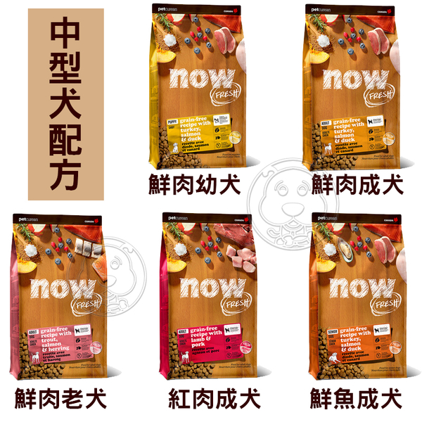 【培菓幸福寵物專營店】(免運）Now 鮮肉無穀天然狗糧 紅肉中型犬22lb鮮肉大型犬25lb(限宅配) product thumbnail 3