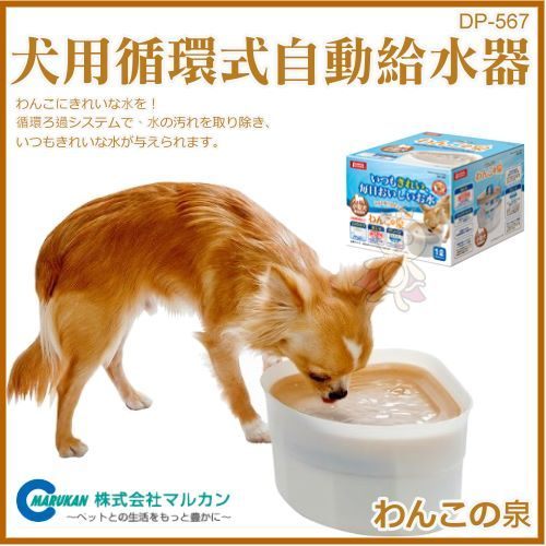 『寵喵樂旗艦店』【02021070】日本 Marukan 循環式自動給水器-犬用(DP-567)