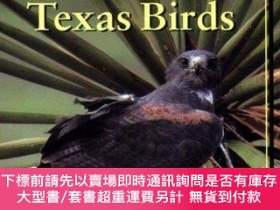 二手書博民逛書店The罕見Tos Handbook Of Texas BirdsY255174 Mark W. Lockwoo