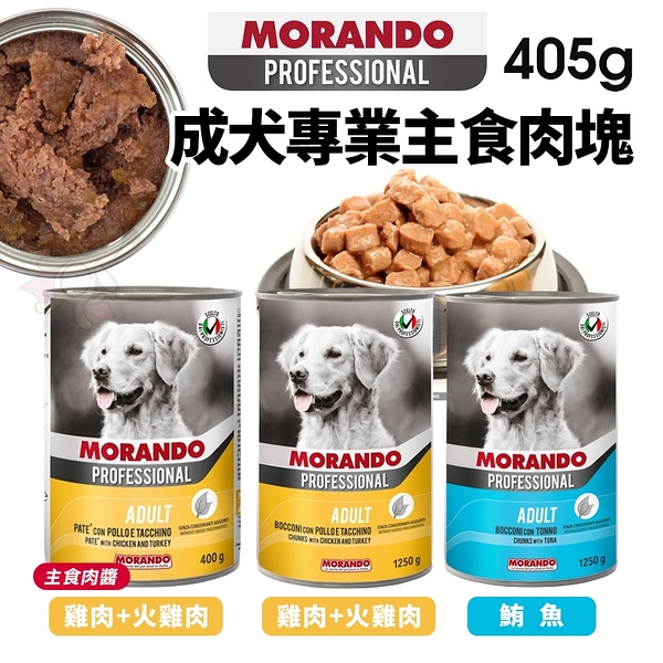 【24罐組免運】PROFESSIONAL 成犬 專業主食肉塊肉醬主食罐頭 肉塊罐 肉醬罐 狗罐頭