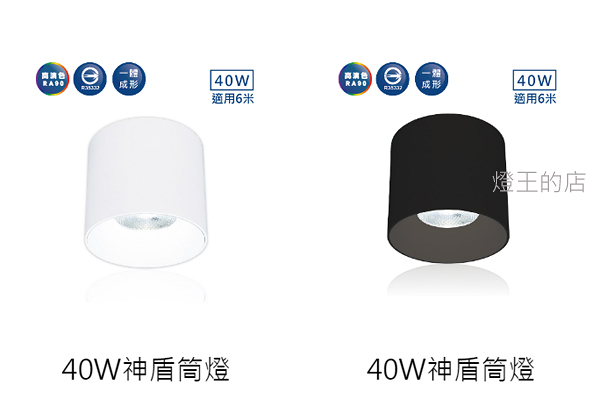 【燈王的店】舞光 LED 40W 筒燈 (LED-CEA40) 白框/黑框 30° 神盾筒燈 全電壓