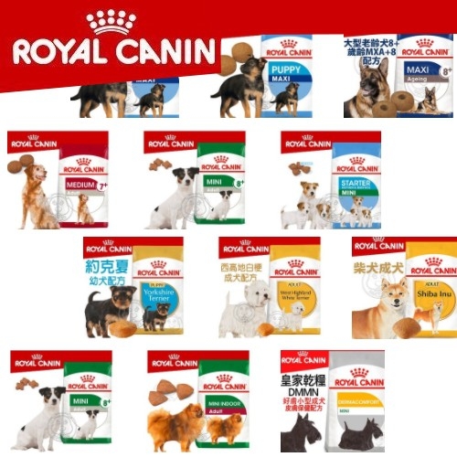 【培菓幸福寵物專營店】法國皇家ROYALCANI》SHN 新皇家中型成犬MA 10KG