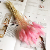 【BlueCat】天然植物粉色兔尾拍攝道具