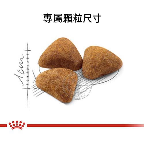 【培菓幸福寵物專營店】FHN 新皇家室內成貓IN27 4KG (超取限1包) product thumbnail 6