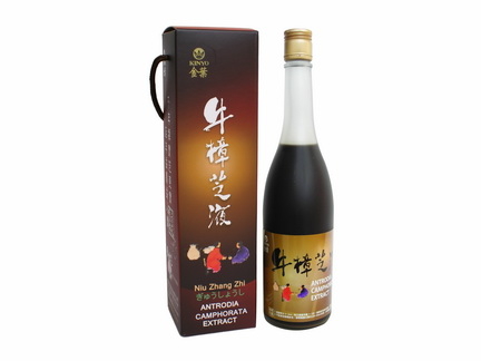 金葉極品樟芝液(580ml) product thumbnail 2