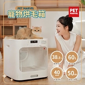 全自動烘乾機 貓咪寵物烘幹箱 寵物烘幹機 小型風幹箱 60L大空間 寵物烘乾箱 烘毛機 烘乾機 現貨