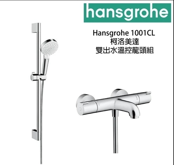 【麗室衛浴】德國 Hansgrohe 定溫淋浴龍頭13201含滑桿 65cm