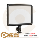 ◎相機專家◎ Godox LDP18D 便攜式白光平板燈 LED 柔光燈 機頂補光燈 5600K 公司貨