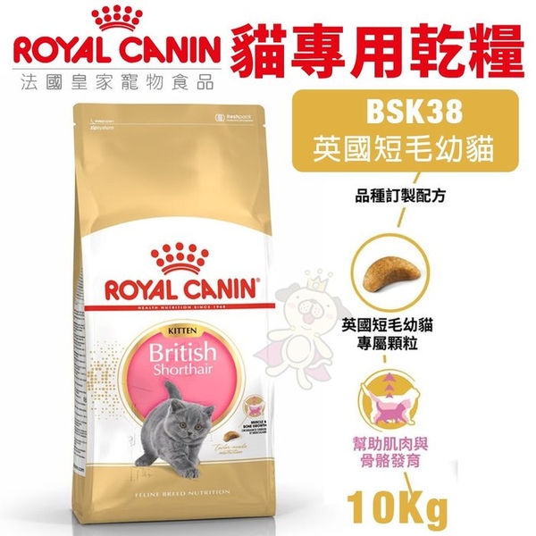 Royal Canin法國皇家 貓專用乾糧2Kg 英國短毛幼貓BSK38 貓糧『寵喵樂旗艦店』