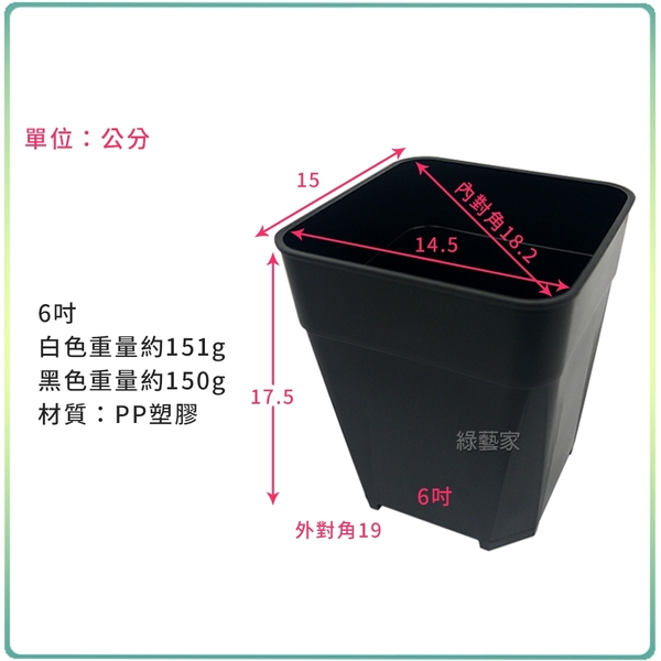 【綠藝家】透氣加高型四方盆6吋(黑色.白色共2色可選) product thumbnail 4