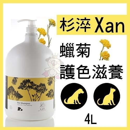 杉淬Xan 寵物洗毛精 蠟菊護色滋養4L 天然植萃 犬貓適用『寵喵樂旗艦店』