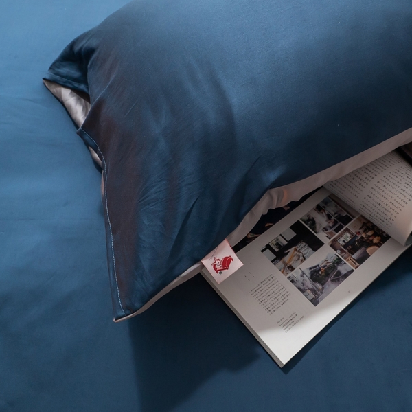 天絲(60支) 羅蘭Roland D4雙人薄床包鋪棉兩用被四件組 專櫃級 床包二色可選 100%天絲