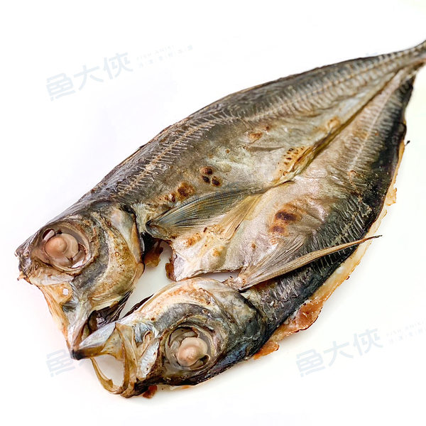 大規格-竹筴魚一夜干(300~350g/尾)-1C5B【魚大俠】FH254