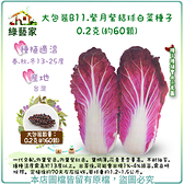 【綠藝家】大包裝B11.紫月紫結球白菜種子0.2克(約60顆)