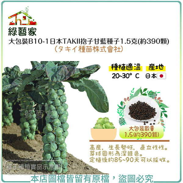 【綠藝家】大包裝B10-1日本TAKII抱子甘藍種子1.5克(約390顆)(タキイ種苗株式會社)