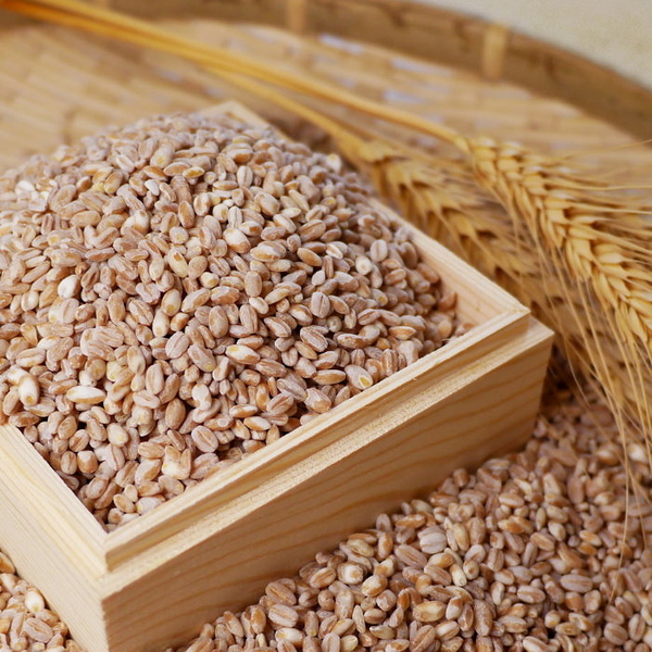 生產追溯大城小麥1kg - 最夯的米~100%純台灣小麥
