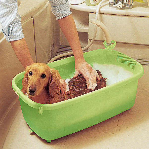 『寵喵樂旗艦店』IRIS寵物澡盆BO-600E 綠色/橙色可掛蓮蓬頭吹風機的浴盆