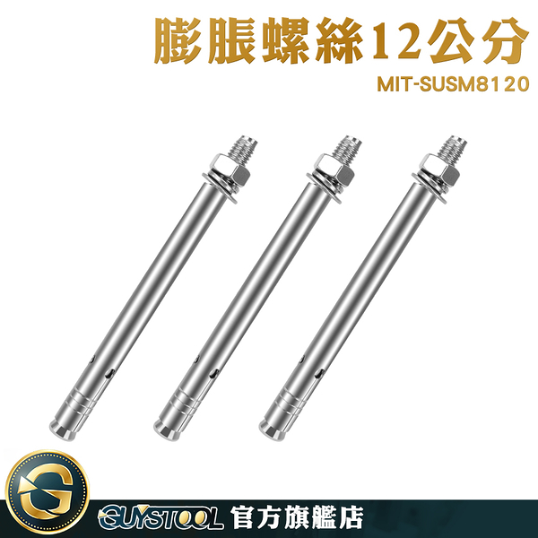 GUYSTOOL 緊固熱水器 螺絲壁虎 水處理工程用 螺絲 MIT-SUSM8120 壁釘 不鏽鋼膨脹螺絲 防護欄安裝