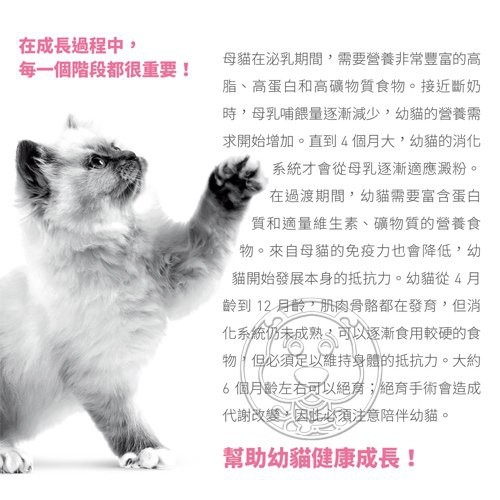 【培菓幸福寵物專營店】FHN 新皇家離乳貓BC34 2kg (超取限2包) product thumbnail 3