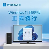 【送滑鼠】 微軟 Microsoft Windows 11 Pro 中文專業隨機版