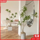 仿真植物 仿真綠植百合竹大型北歐室內客廳...