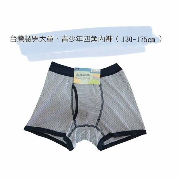 【菲斯質感生活購物】台灣製男大童青少年四角內褲-一組4入 四角內褲 內褲 四角褲 男童內褲 product thumbnail 2