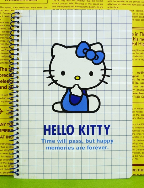 【震撼精品百貨】Hello Kitty 凱蒂貓~筆記本~側坐~藍格子【共1款】