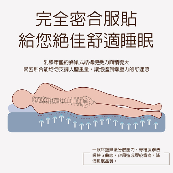 【FITNESS】單人加大天然乳膠床墊-5公分_TRP多利寶 product thumbnail 6