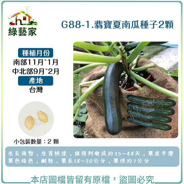 【綠藝家】G88-1.翡寶夏南瓜種子(綠櫛瓜.節瓜.嫩南瓜.美國南瓜) 2顆