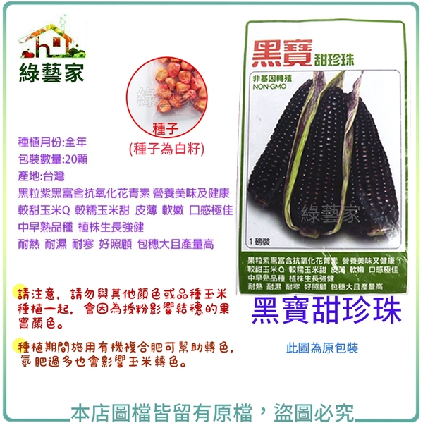 【綠藝家】G26.黑寶甜珍珠糯玉米種子20顆
