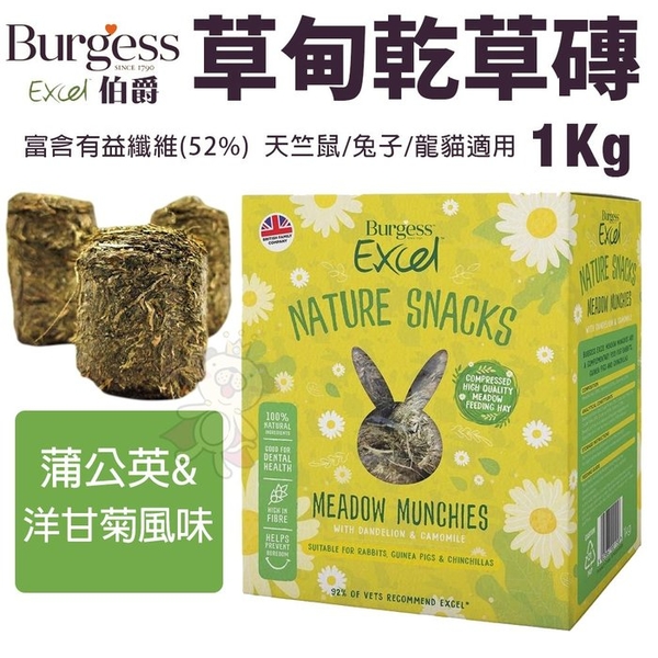 Burgess 伯爵 草甸乾草磚1Kg (蒲公英&洋甘菊風味) 天竺鼠/兔子/龍貓適用 小動物點心