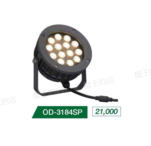 【燈王的店】舞光 LED 30W 照樹燈 庭園燈 投射燈 洗牆燈 暖白光 OD-3184SP