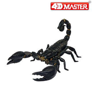 【4D Master】26502 立體拼組模型 動物系列 帝王蠍 黑蠍子禮盒