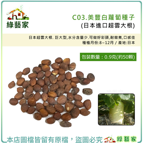 【綠藝家】C03.美豐白蘿蔔種子0.9克(約50顆)(超雲大根.巨大型，水分含量少.耐燉煮，口感佳)