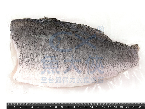 台灣-鮮美帶皮鱸魚片(200~250g/片)#去刺鱸魚清肉-1C2B【魚大俠】FH111 product thumbnail 4