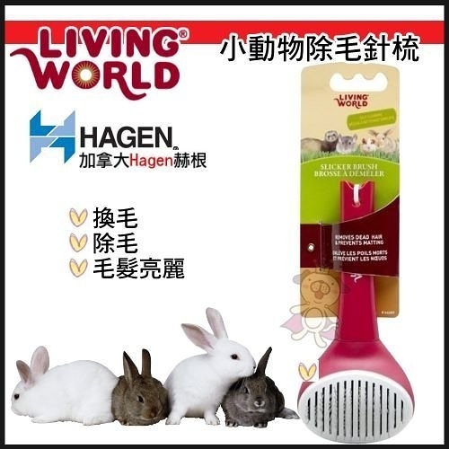 『寵喵樂旗艦店』加拿大Hagen赫根《Living World小動物除毛針梳》換毛/除毛/毛髮亮麗