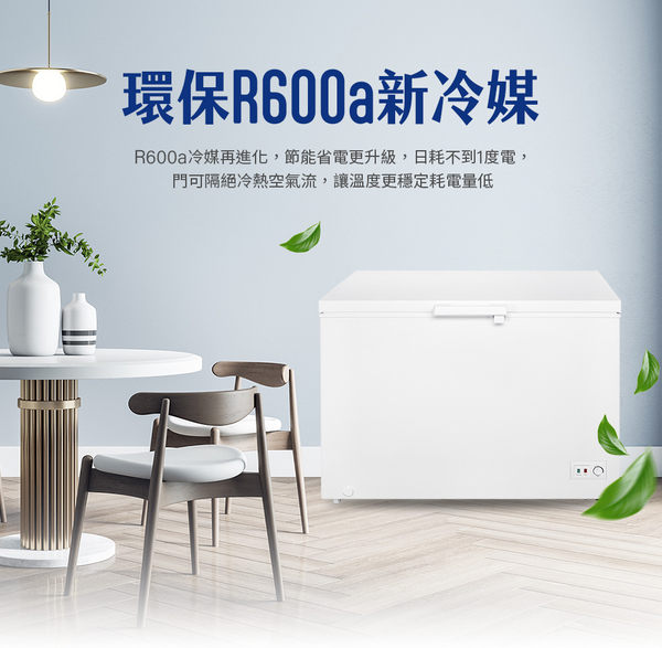 TECO東元300L上掀式臥式冷凍櫃 RL3002W~含拆箱定位+舊機回收 product thumbnail 3
