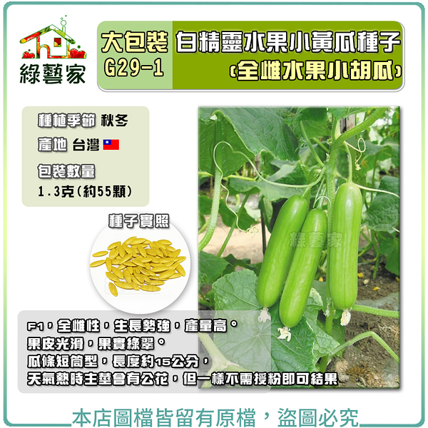 【綠藝家】大包裝G29-1.白精靈水果小黃瓜種子1.3克(約55顆)全雌水果小胡瓜