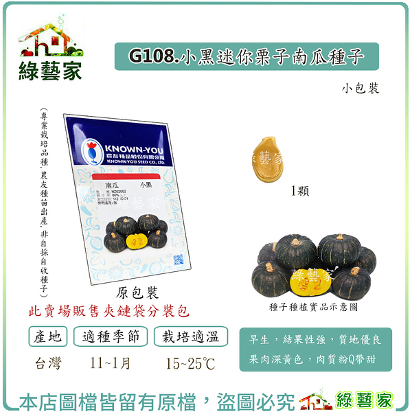 【綠藝家】G108.小黑迷你栗子南瓜種子1顆 早生貝貝南瓜，結果性強，質地優良 果肉深黃色，肉質