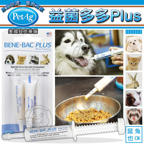 【培菓幸福寵物專營店】美國貝克PetAg BENE-BAC益菌多多膏針劑15gA5105(益生菌腸胃保健犬貓兔)